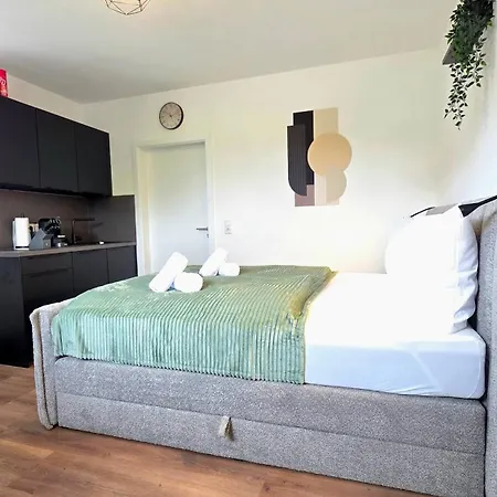 Design I Haus Mit 3 I Beheizter Swimming-pool I Finnische Sauna Mit Holz I Boxspring I Parkplaetze Apartament Lahr (Baden-Wurttemberg)