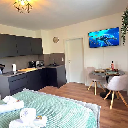 Design I Haus Mit 3 I Beheizter Swimming-pool I Finnische Sauna Mit Holz I Boxspring I Parkplaetze * Lahr (Baden-Wurttemberg)